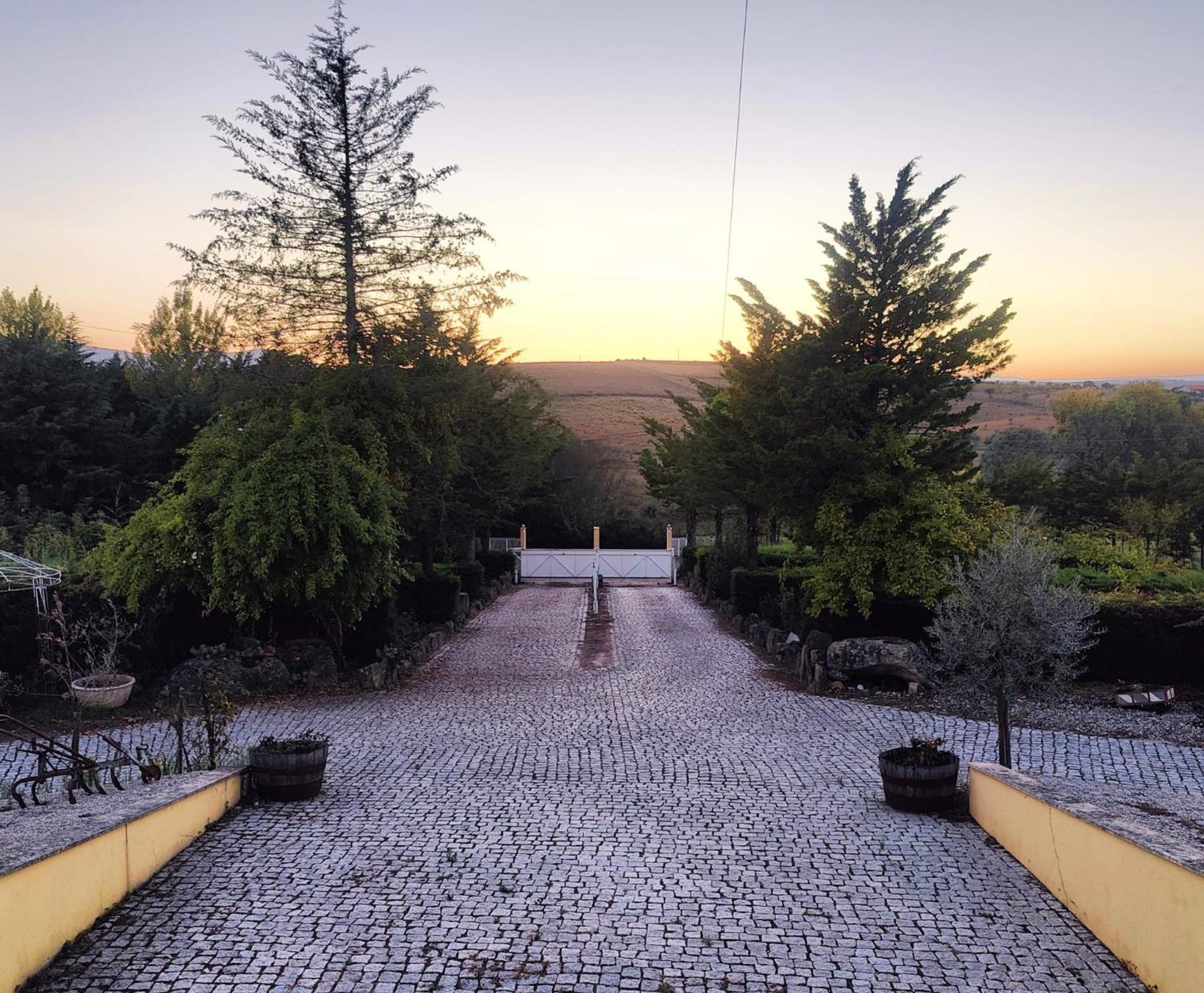 Quinta Da Libelinha Alojamento Local - Мирандела Екстериор снимка